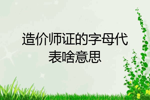 造价师证的字母代表啥意思