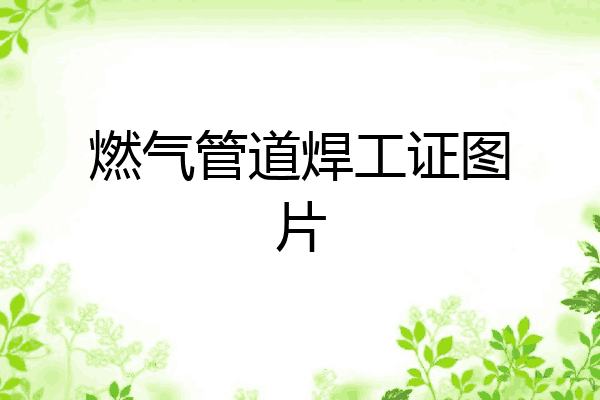 燃气管道焊工证图片