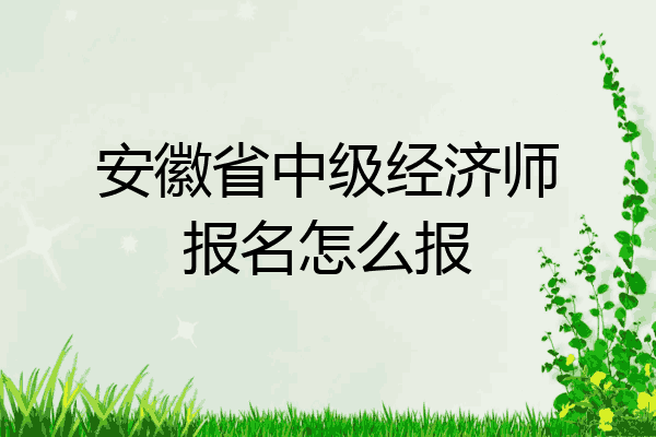 安徽省中级经济师报名怎么报