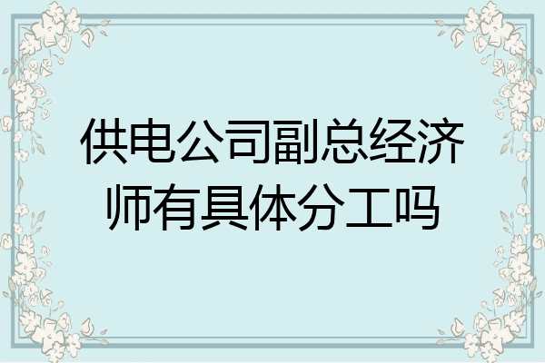 供电公司副总经济师有具体分工吗
