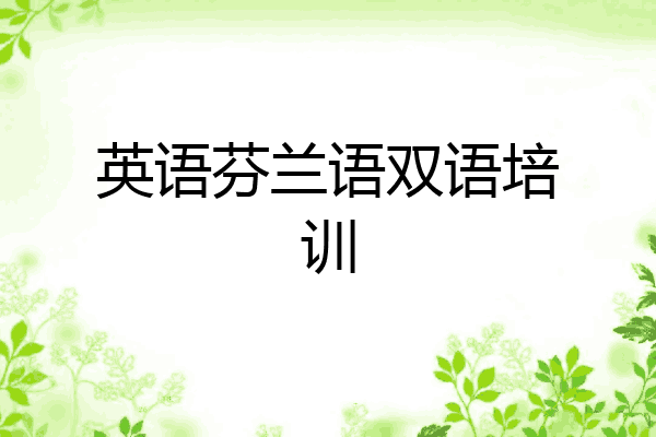 英语芬兰语双语培训