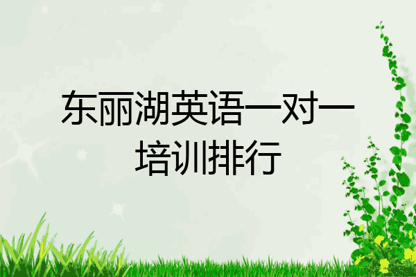 东丽湖英语一对一培训排行