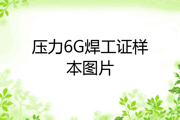 压力6G焊工证样本图片
