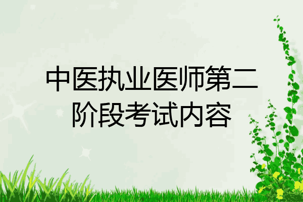 中医执业医师第二阶段考试内容