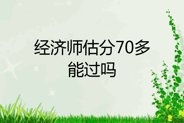 经济师估分70多能过吗