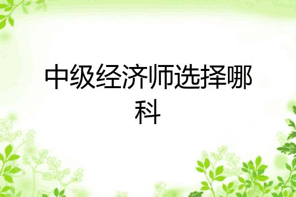 中级经济师选择哪科