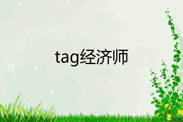 tag经济师