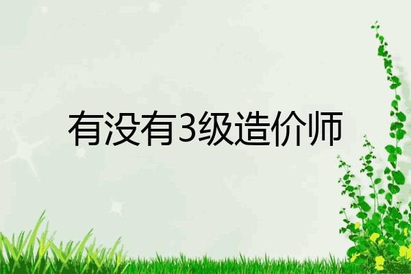 有没有3级造价师