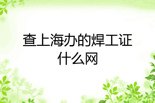 查上海办的焊工证什么网