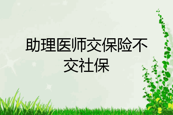 助理医师交保险不交社保