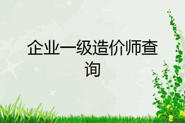 企业一级造价师查询