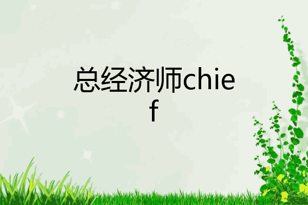 总经济师chief