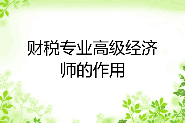 财税专业高级经济师的作用