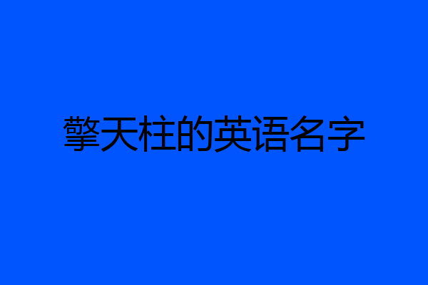 擎天柱的英语名字