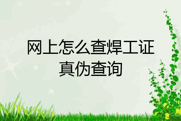 网上怎么查焊工证真伪查询
