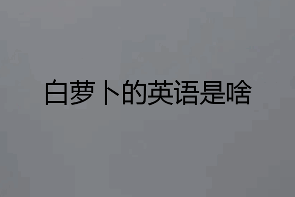 白萝卜的英语是啥
