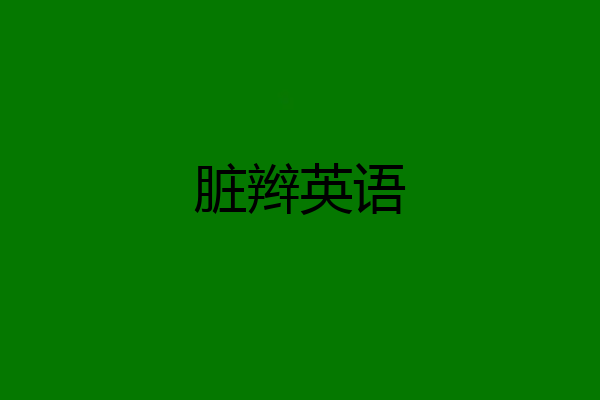 脏辫英语