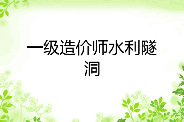 一级造价师水利隧洞