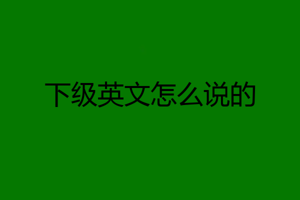 下级英文怎么说的