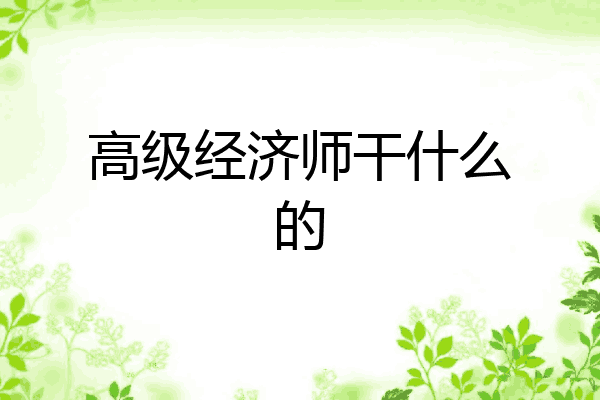 高级经济师干什么的