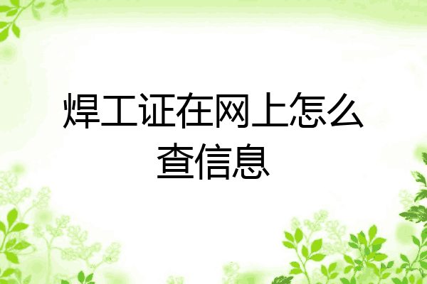 焊工证在网上怎么查信息