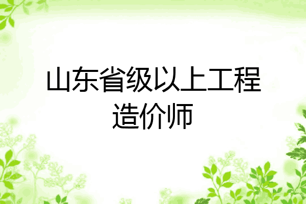 山东省级以上工程造价师
