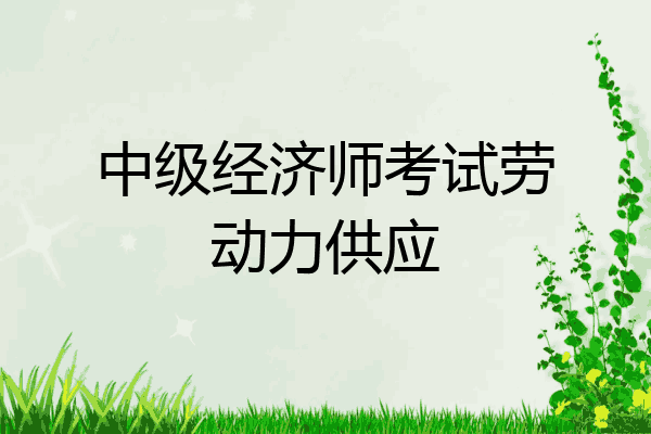 中级经济师考试劳动力供应