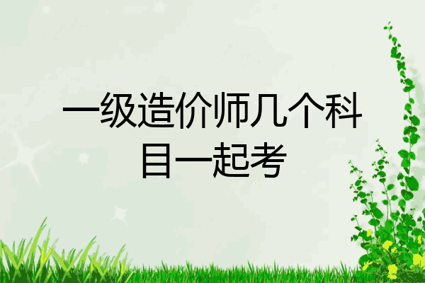 一级造价师几个科目一起考