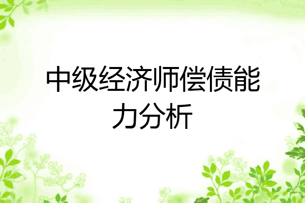 中级经济师偿债能力分析