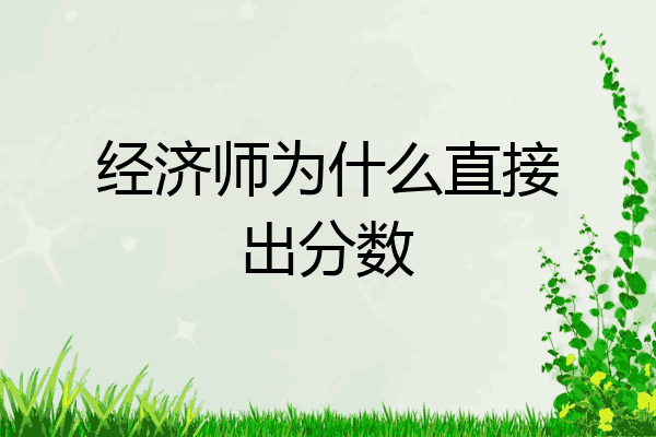 经济师为什么直接出分数