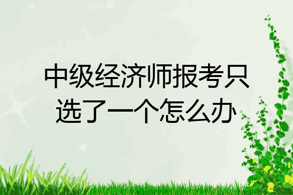 中级经济师报考只选了一个怎么办