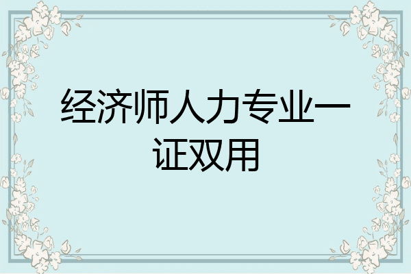 经济师人力专业一证双用