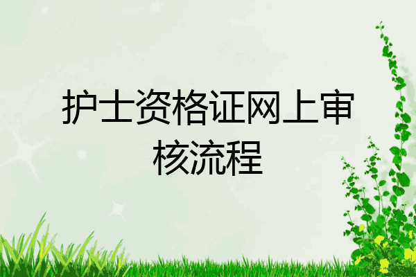 护士资格证网上审核流程