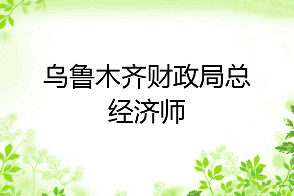乌鲁木齐财政局总经济师