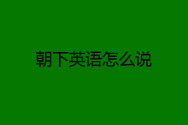朝下英语怎么说