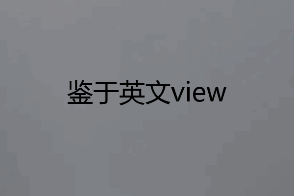 鉴于英文view