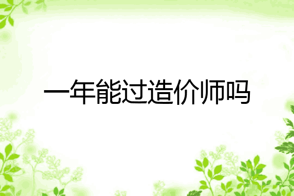 一年能过造价师吗