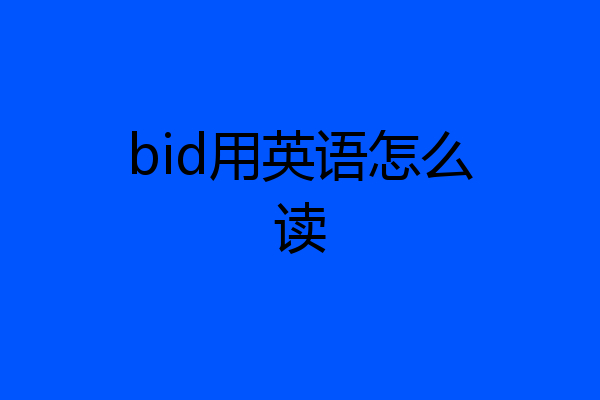 bid用英语怎么读