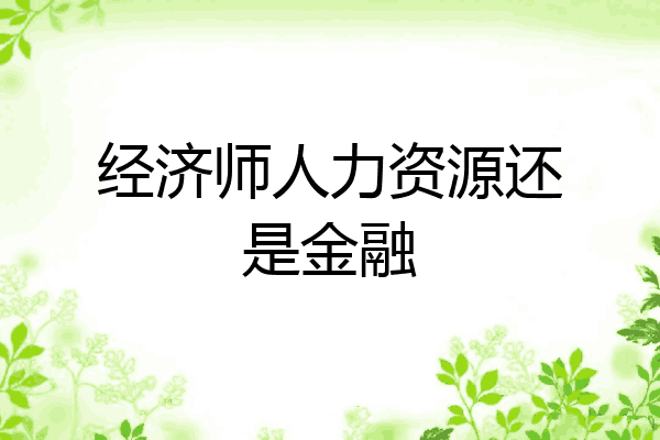 经济师人力资源还是金融