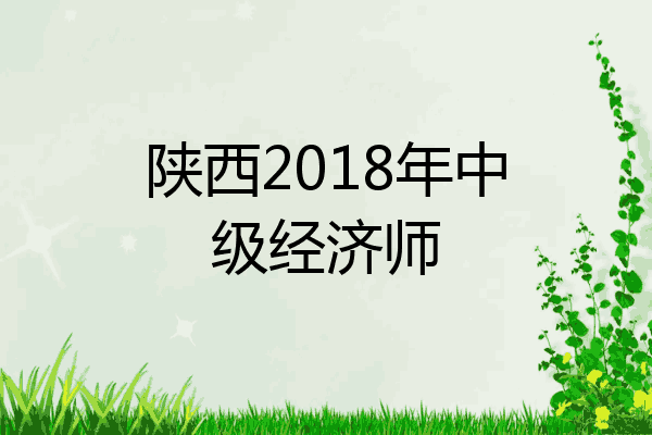 陕西2018年中级经济师