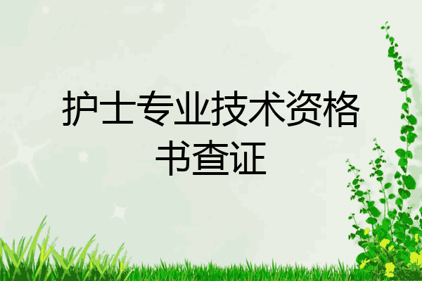 护士专业技术资格书查证