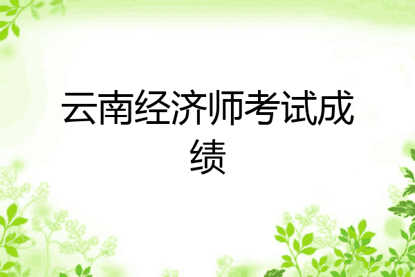 云南经济师考试成绩