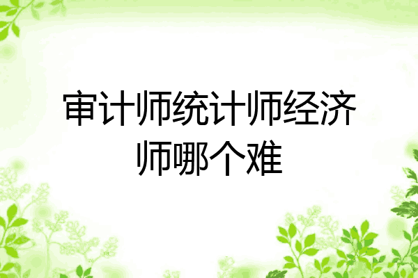 审计师统计师经济师哪个难