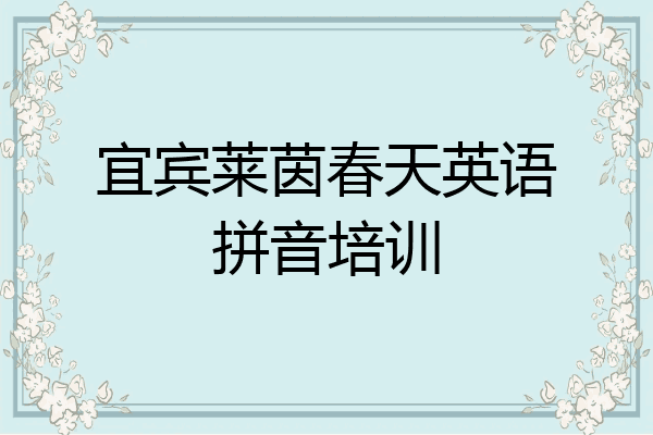 宜宾莱茵春天英语拼音培训