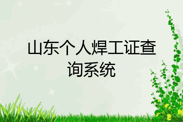 山东个人焊工证查询系统