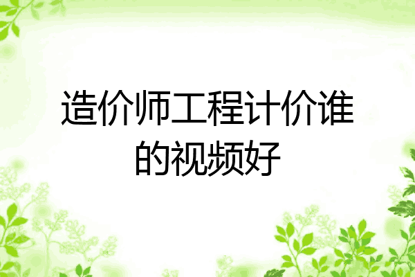 造价师工程计价谁的视频好