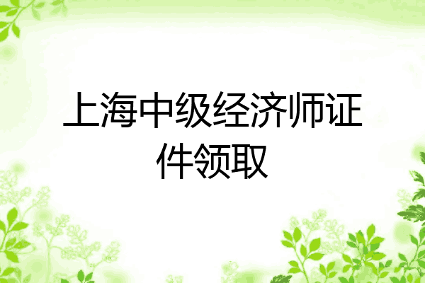 上海中级经济师证件领取