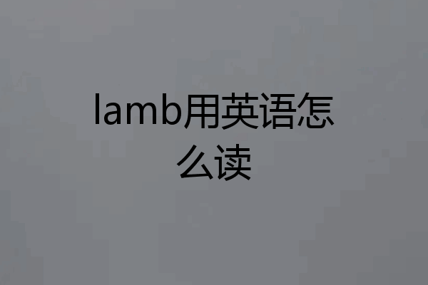 lamb用英语怎么读