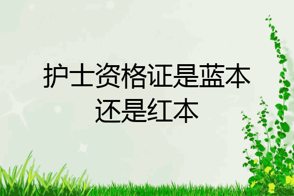 护士资格证是蓝本还是红本