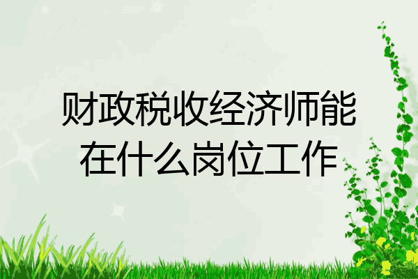 财政税收经济师能在什么岗位工作